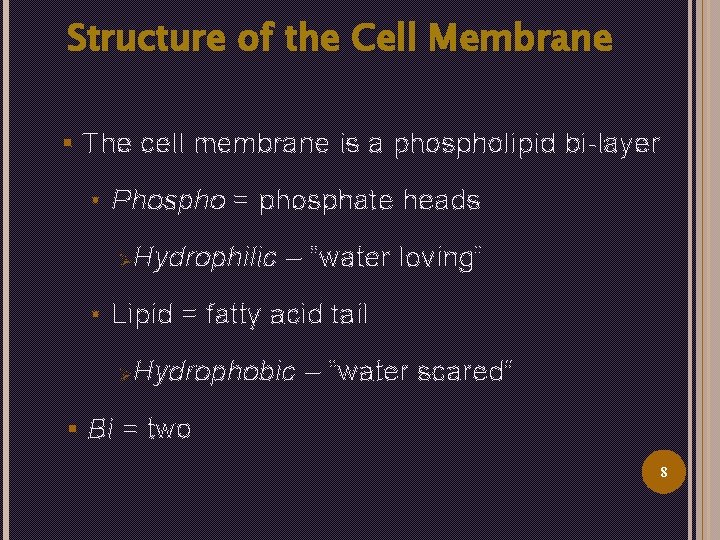 Structure of the Cell Membrane § The cell membrane is a phospholipid bi-layer •