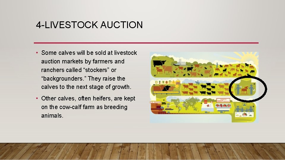 4 -LIVESTOCK AUCTION • Some calves will be sold at livestock auction markets by
