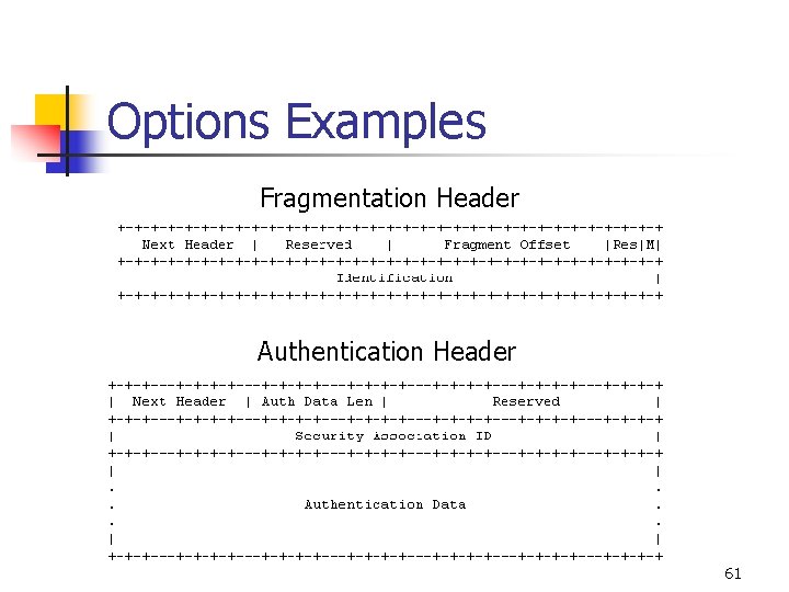 Options Examples Fragmentation Header Authentication Header 61 