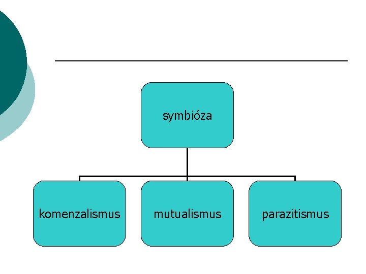 symbióza komenzalismus mutualismus parazitismus 
