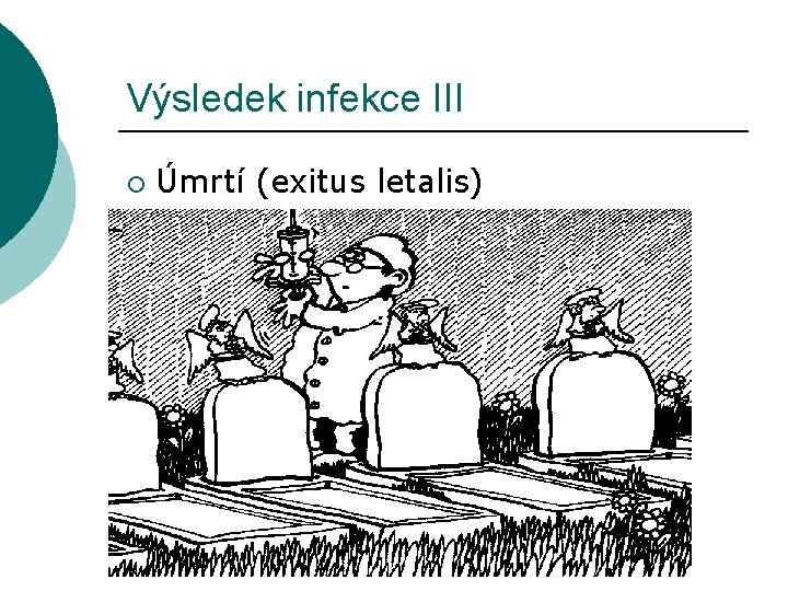 Výsledek infekce III ¡ Úmrtí (exitus letalis) 