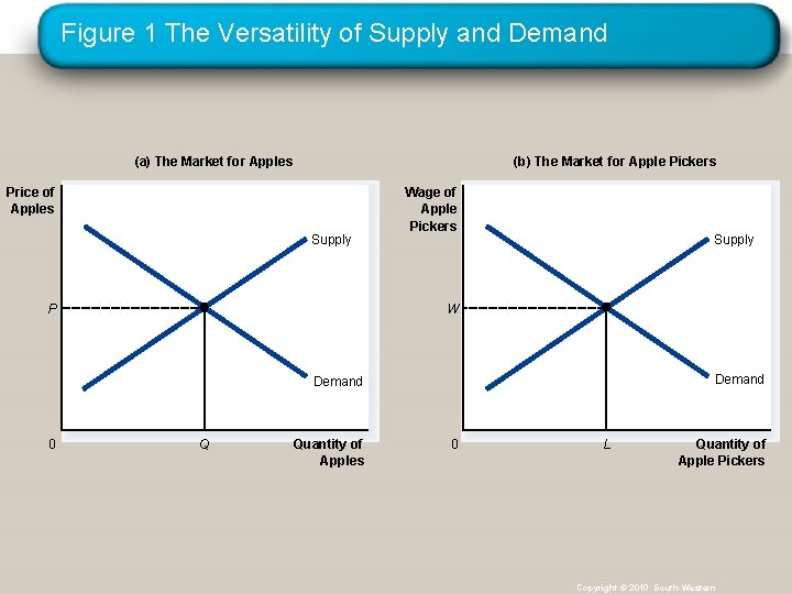 Figure 1 The Versatility of Supply and Demand (a) The Market for Apples (b)