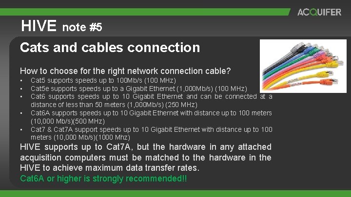 HIVE note #5 Cats and cables connection How to choose for the right network HIVE note #5 Cats and cables connection How to choose for the right network