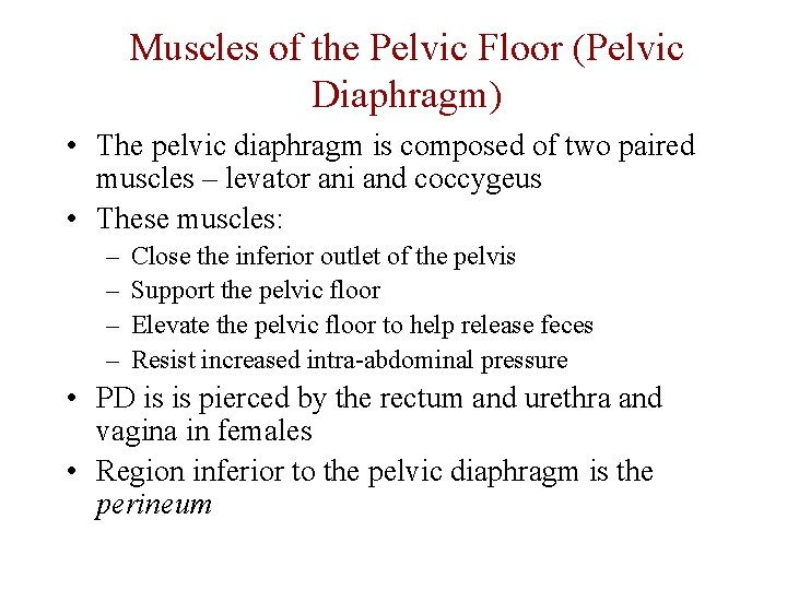 Muscles of the Pelvic Floor (Pelvic Diaphragm) • The pelvic diaphragm is composed of