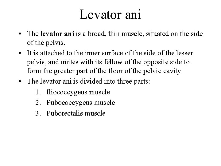 Levator ani • The levator ani is a broad, thin muscle, situated on the