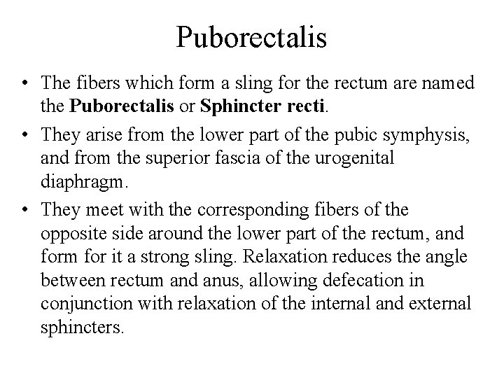 Puborectalis • The fibers which form a sling for the rectum are named the