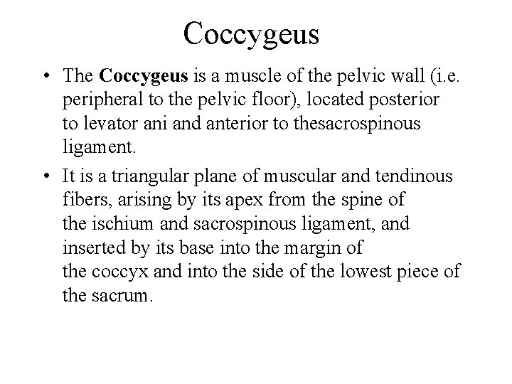 Coccygeus • The Coccygeus is a muscle of the pelvic wall (i. e. peripheral