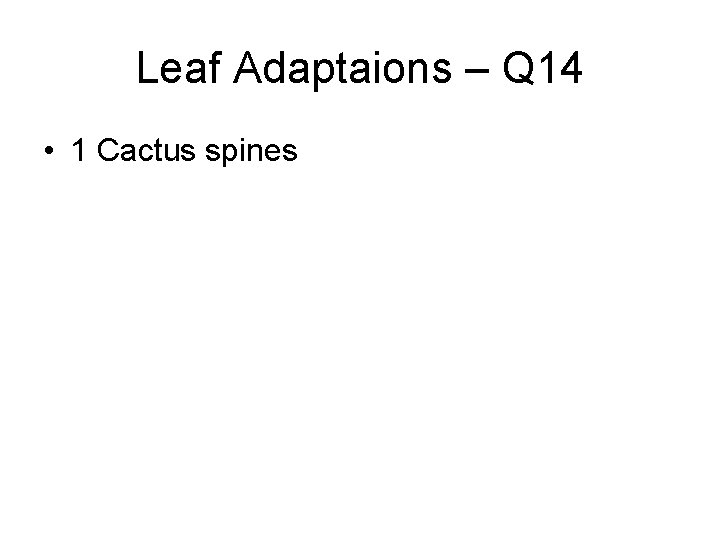 Leaf Adaptaions – Q 14 • 1 Cactus spines 