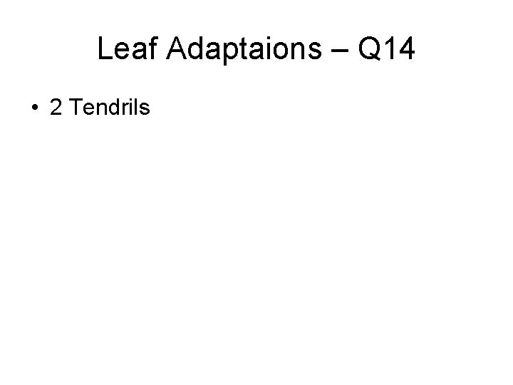 Leaf Adaptaions – Q 14 • 2 Tendrils 
