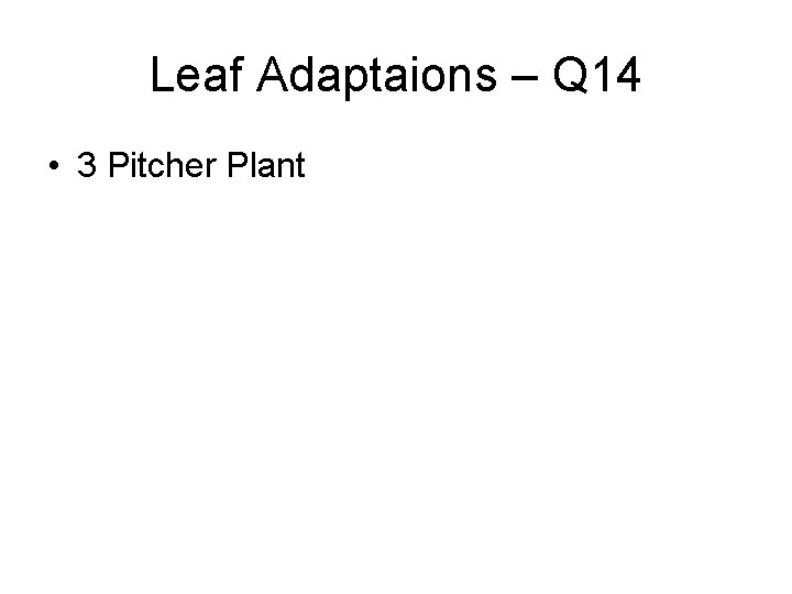 Leaf Adaptaions – Q 14 • 3 Pitcher Plant 