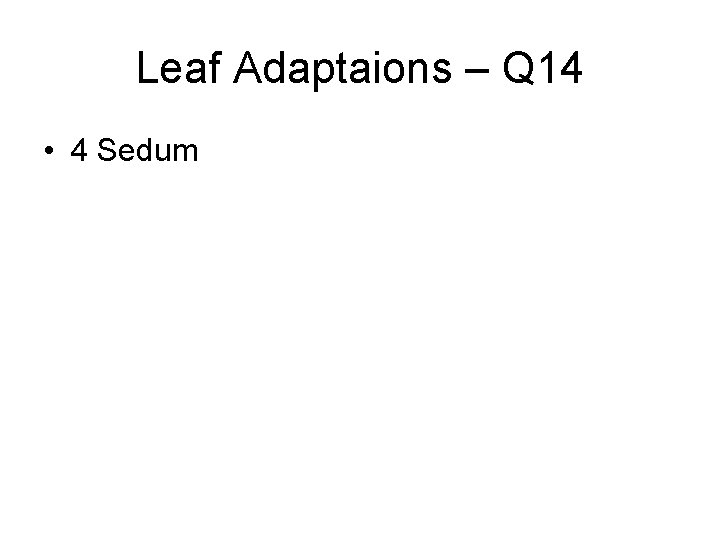 Leaf Adaptaions – Q 14 • 4 Sedum 