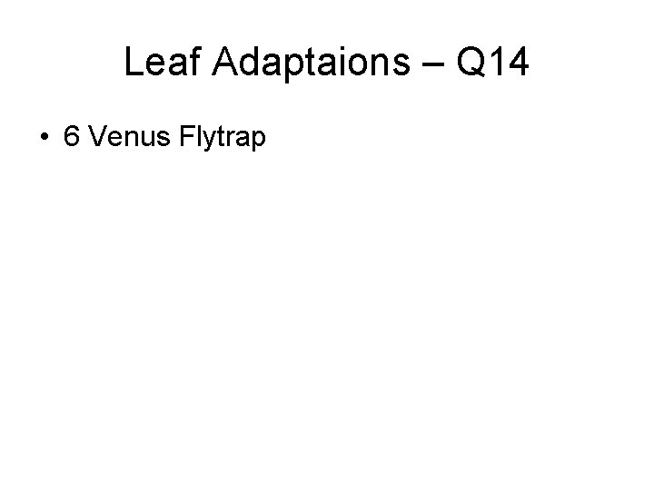 Leaf Adaptaions – Q 14 • 6 Venus Flytrap 