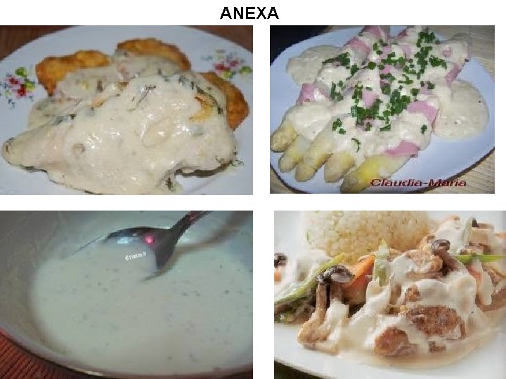 ANEXA ANEXA