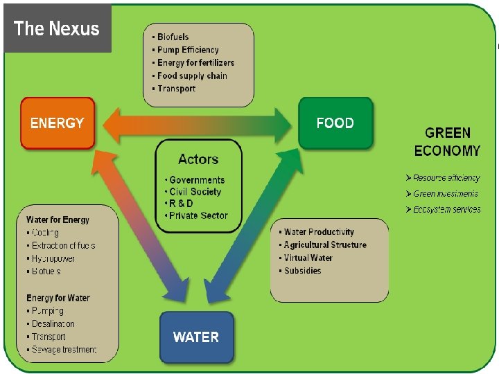 The Sustainable Development Goals why the Nexus approach