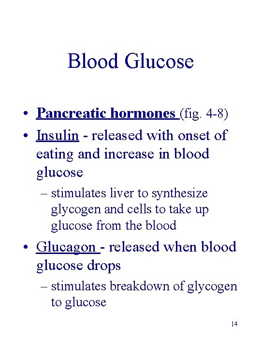 Blood Glucose • Pancreatic hormones (fig. 4 -8) • Insulin - released with onset