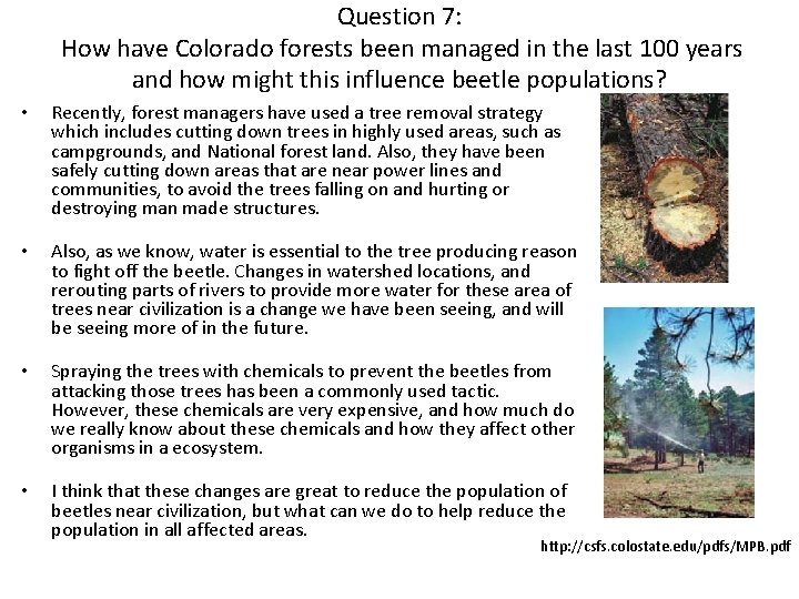 Question 7: How have Colorado forests been managed in the last 100 years and