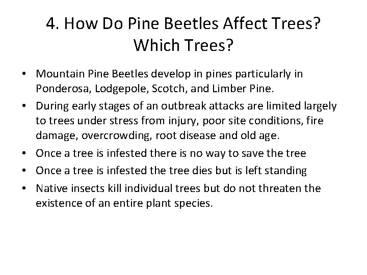 4. How Do Pine Beetles Affect Trees? Which Trees? • Mountain Pine Beetles develop