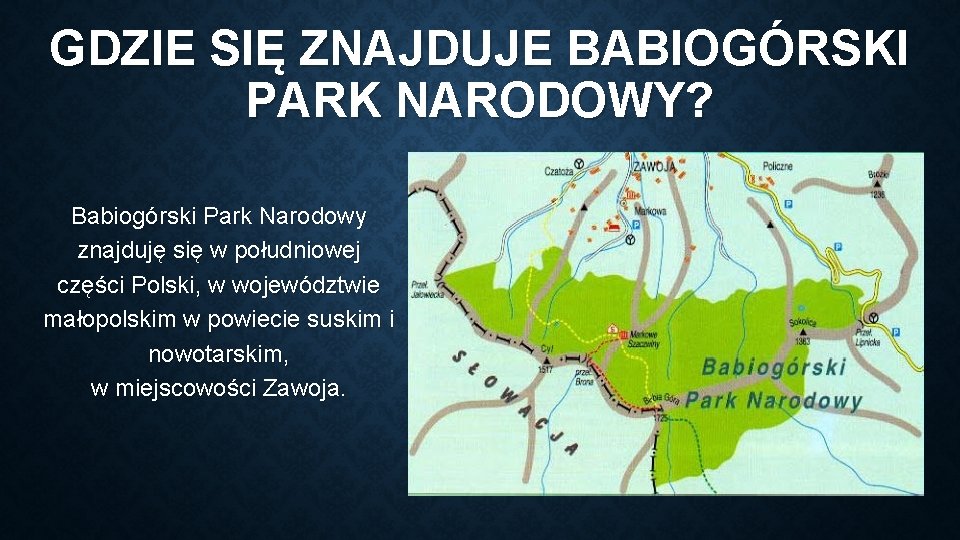 GDZIE SIĘ ZNAJDUJE BABIOGÓRSKI PARK NARODOWY? Babiogórski Park Narodowy znajduję się w południowej części