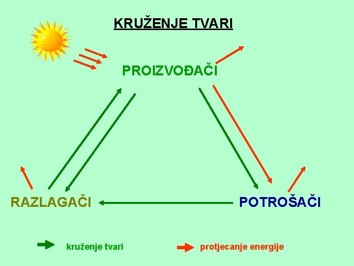 KRUŽENJE TVARI PROIZVOĐAČI RAZLAGAČI kruženje tvari POTROŠAČI protjecanje energije 