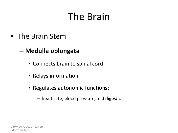 The Brain • The Brain Stem – Medulla oblongata • Connects brain to spinal