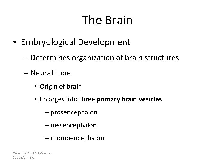 The Brain • Embryological Development – Determines organization of brain structures – Neural tube