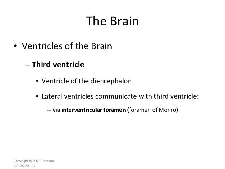 The Brain • Ventricles of the Brain – Third ventricle • Ventricle of the
