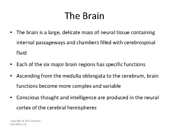 The Brain • The brain is a large, delicate mass of neural tissue containing
