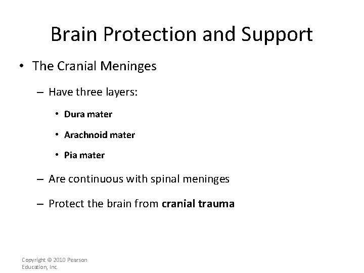Brain Protection and Support • The Cranial Meninges – Have three layers: • Dura