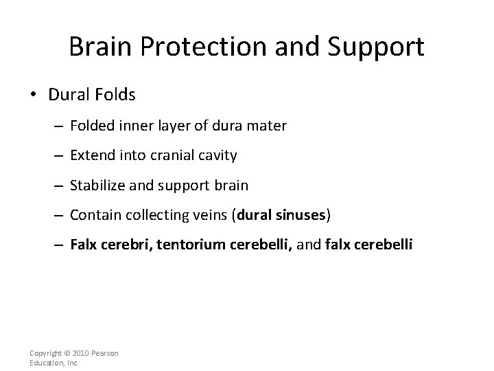 Brain Protection and Support • Dural Folds – Folded inner layer of dura mater