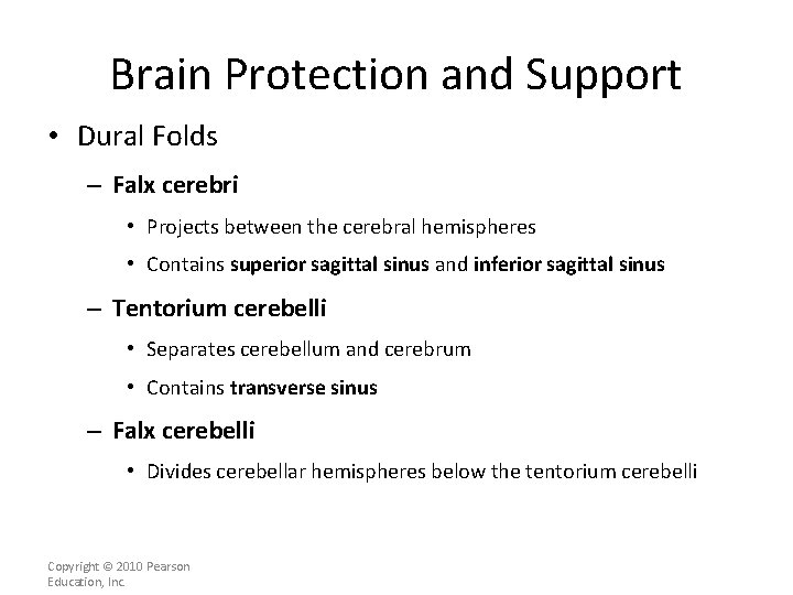 Brain Protection and Support • Dural Folds – Falx cerebri • Projects between the