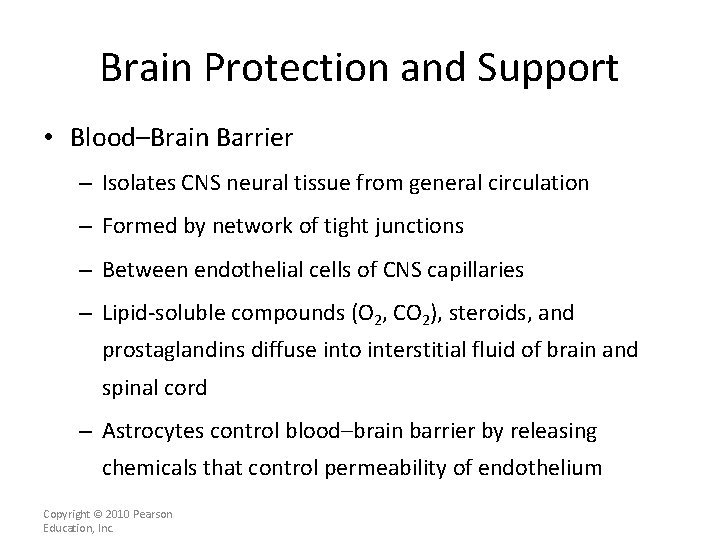 Brain Protection and Support • Blood–Brain Barrier – Isolates CNS neural tissue from general
