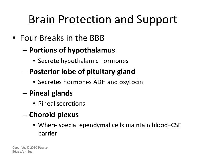 Brain Protection and Support • Four Breaks in the BBB – Portions of hypothalamus