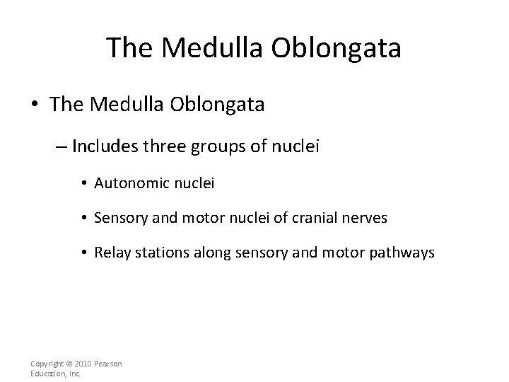 The Medulla Oblongata • The Medulla Oblongata – Includes three groups of nuclei •