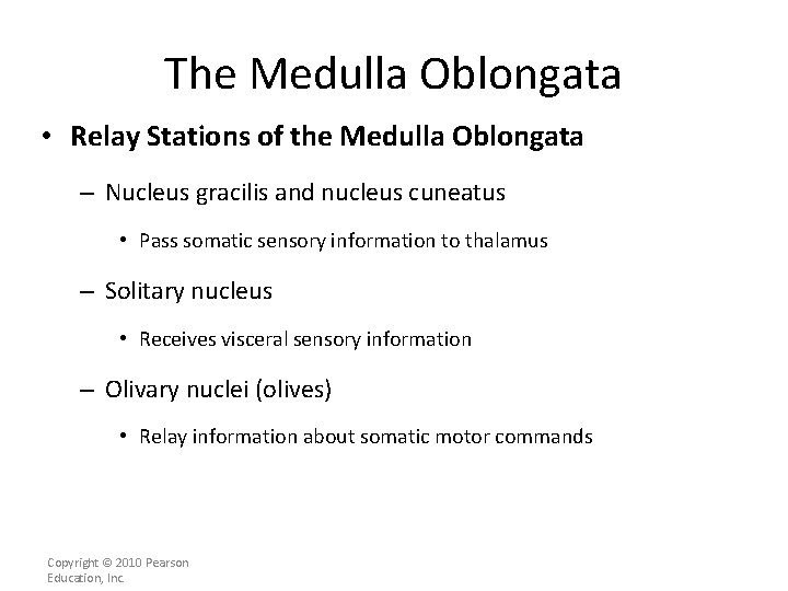 The Medulla Oblongata • Relay Stations of the Medulla Oblongata – Nucleus gracilis and