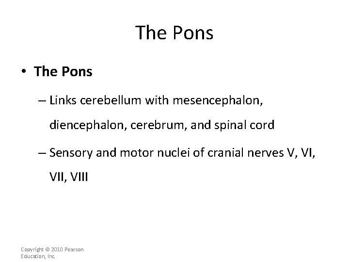 The Pons • The Pons – Links cerebellum with mesencephalon, diencephalon, cerebrum, and spinal