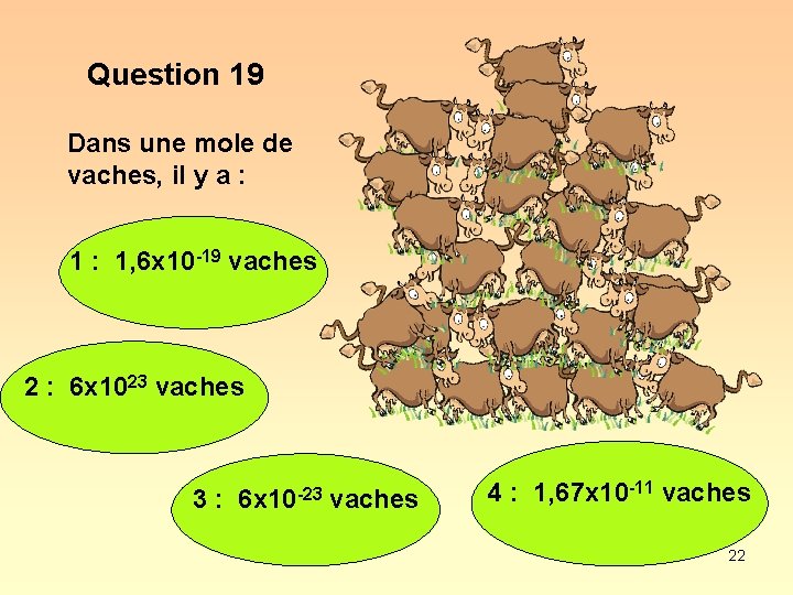 Question 19 Dans une mole de vaches, il y a : 1, 6 x