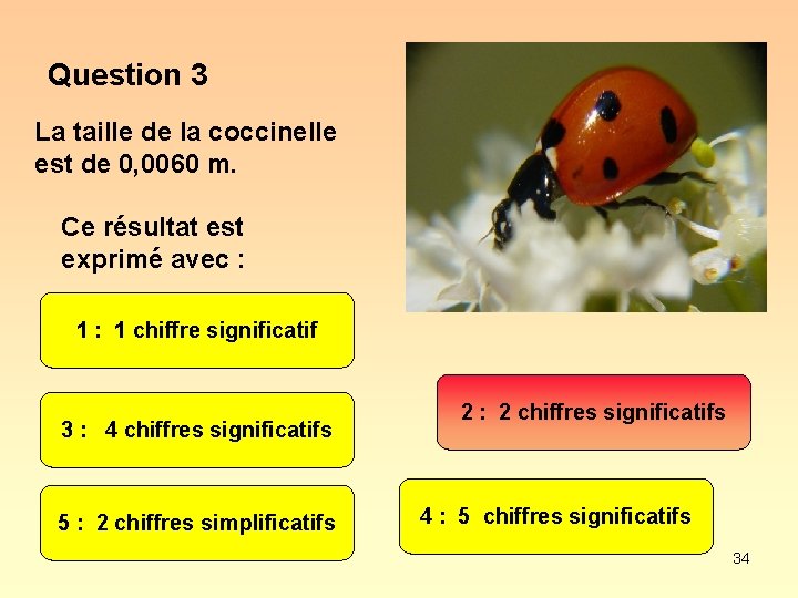 Question 3 La taille de la coccinelle est de 0, 0060 m. Ce résultat