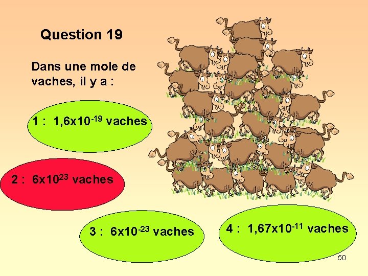 Question 19 Dans une mole de vaches, il y a : 1, 6 x