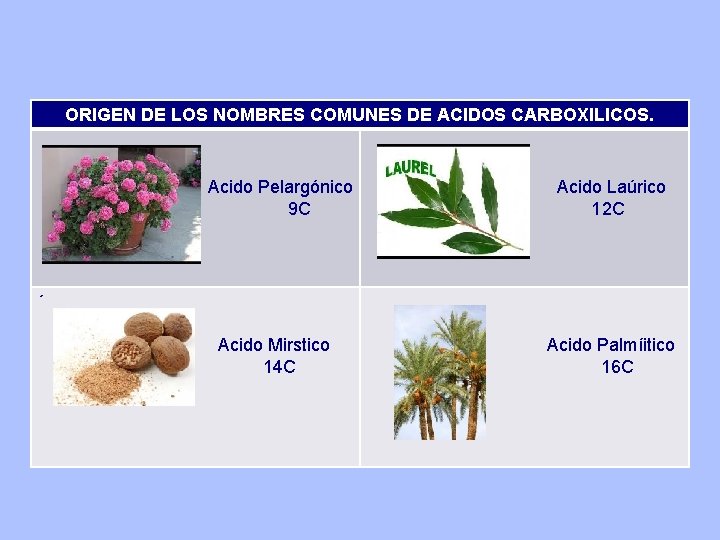 ORIGEN DE LOS NOMBRES COMUNES DE ACIDOS CARBOXILICOS. Acido Pelargónico 9 C Acido Laúrico