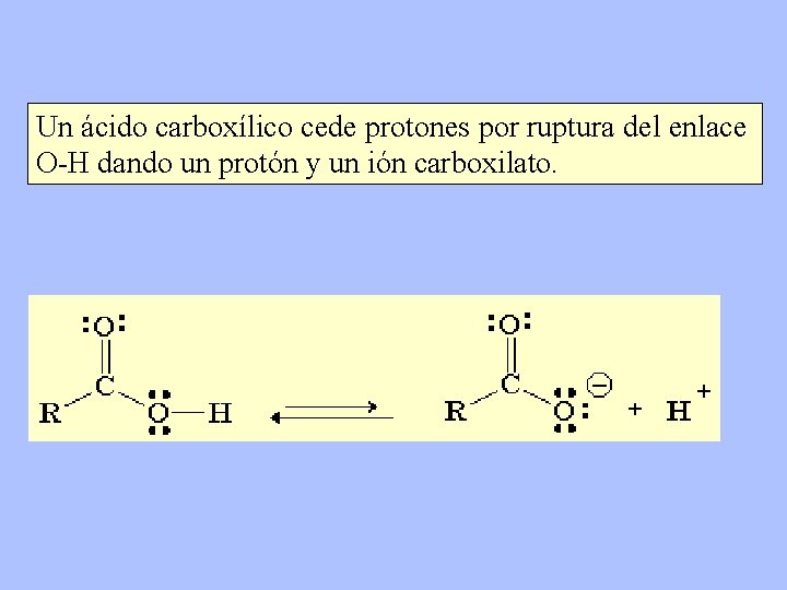 Un ácido carboxílico cede protones por ruptura del enlace O-H dando un protón y