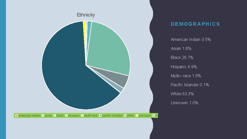 Ethnicity DEMOGRAPHICS American Indian 0. 5% Asian 1. 6% Black 26. 7% Hispanic 4.