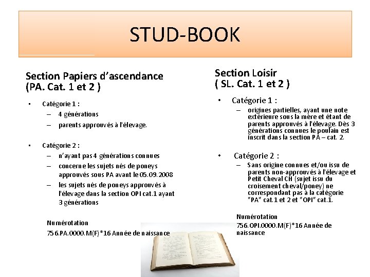 STUD-BOOK Section Papiers d’ascendance (PA. Cat. 1 et 2 ) • Catégorie 1 :