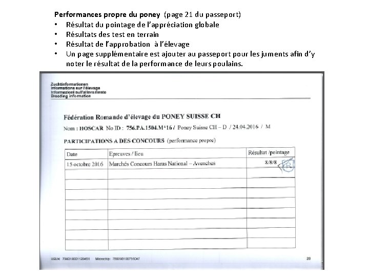 Performances propre du poney (page 21 du passeport) • Résultat du pointage de l’appréciation
