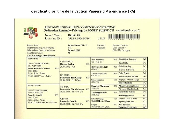 Certificat d’origine de la Section Papiers d’Ascendance (PA) 