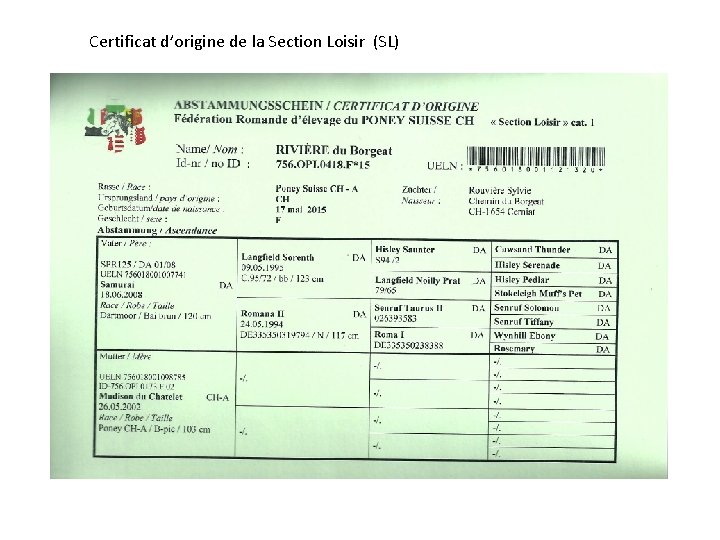 Certificat d’origine de la Section Loisir (SL) 