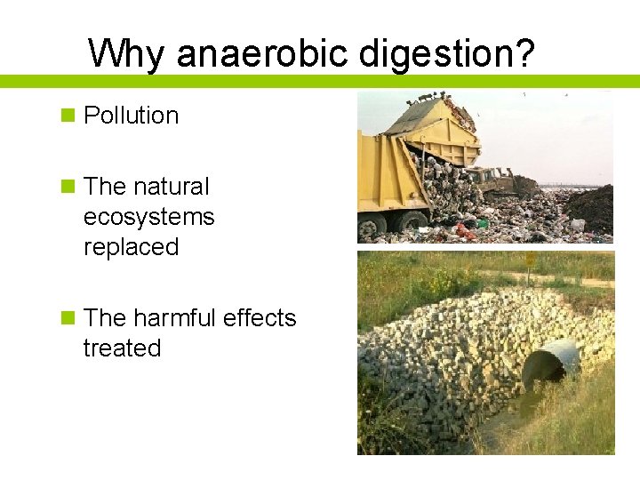 Why anaerobic digestion? n Pollution n The natural ecosystems replaced n The harmful effects