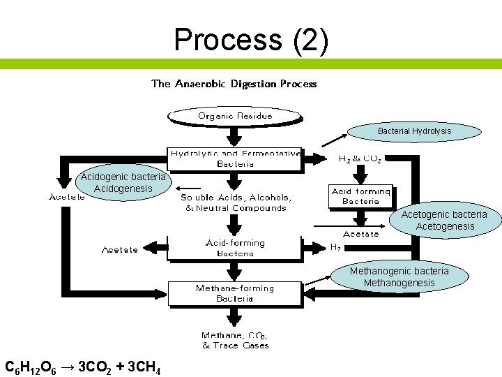 Process (2) Bacterial Hydrolysis Acidogenic bacteria Acidogenesis Acetogenic bacteria Acetogenesis Methanogenic bacteria Methanogenesis C