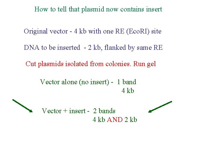How to tell that plasmid now contains insert Original vector - 4 kb with