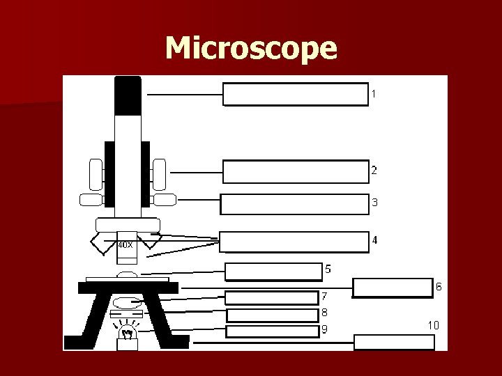 Microscope 