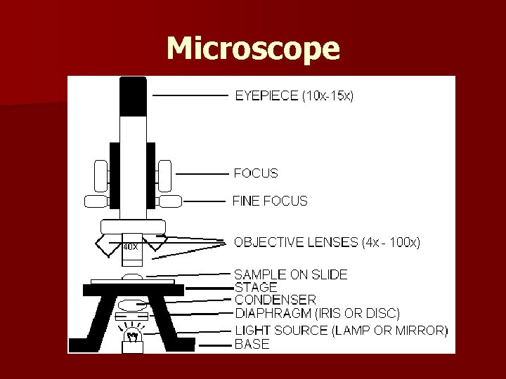 Microscope 